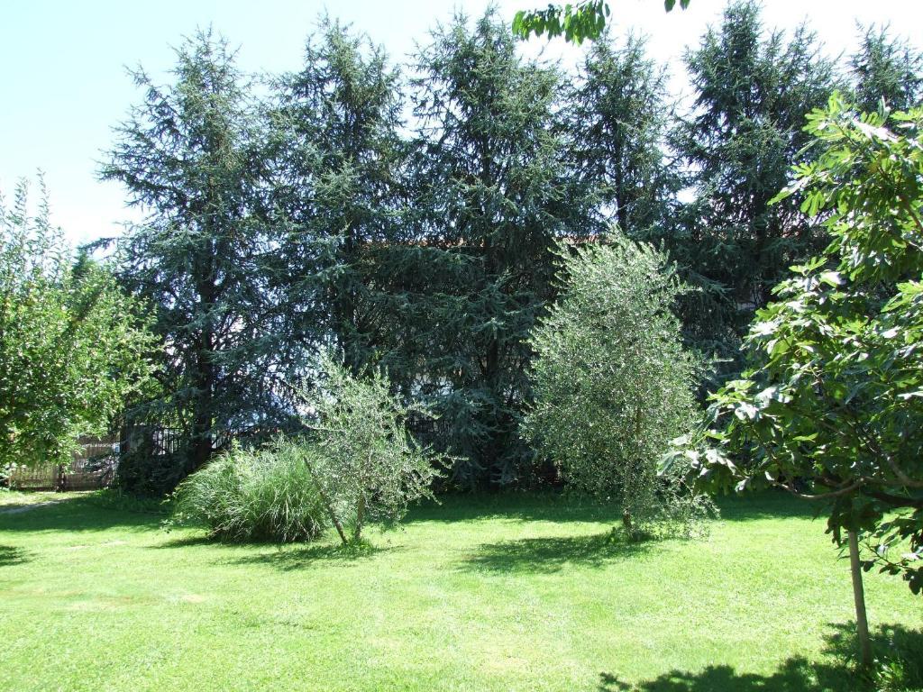 Agriturismo Ca Del Lago Gravedona Exterior foto
